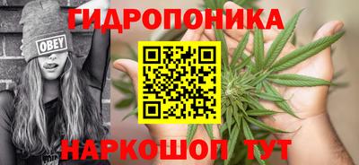 хмурый Бердск