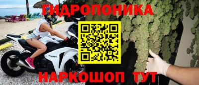 хмурый Бердск
