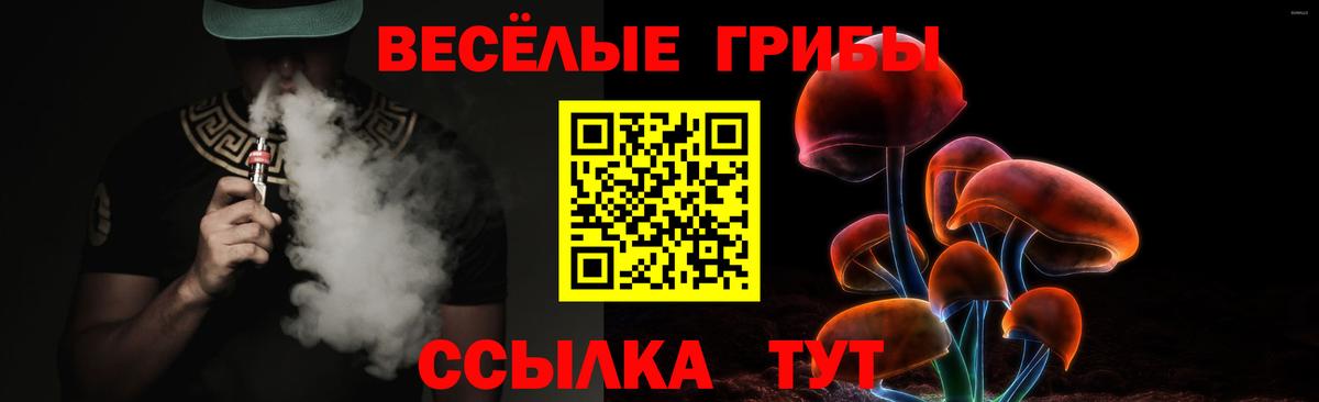 Сосновый Бор  Галлюциногенные грибы MAGIC MUSHROOMS  Псилоцибиновые грибы мицелий  Вход с VPN 